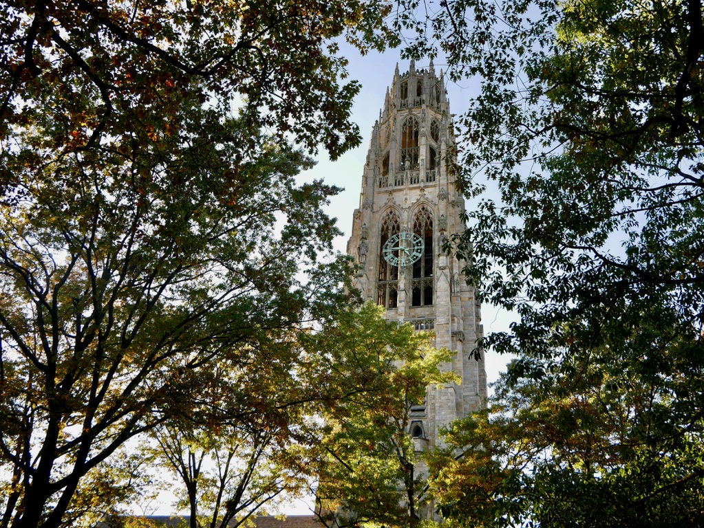 Professors lament federal research funding cuts at faculty panel