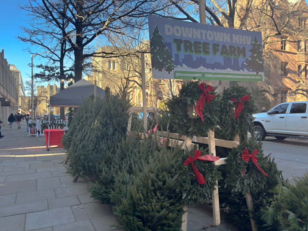 Holiday events entice New Haveners to shop at small businesses